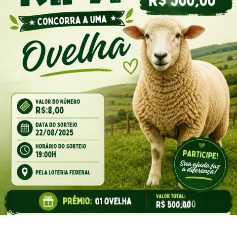 concorra a uma Ovelha ou o valor de 500,00 reais no pix