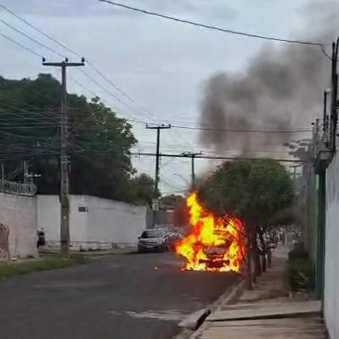 Projeto Fênix : Nosso Recomeço |  DAS CINZAS A UM NOVO CAMINHO