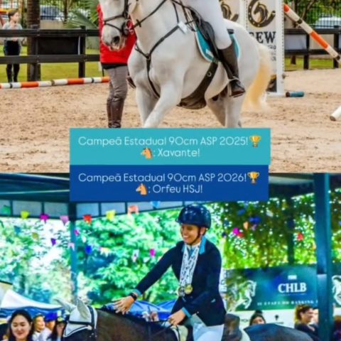 RIFA SOLIDÁRIA 🏇 AJUDE UMA BICAMPEÃ ESTADUAL A REPRESENTAR MATO GROSSO DO SUL NO CAMPEONATO BRASILEIRO DE HIPISMO