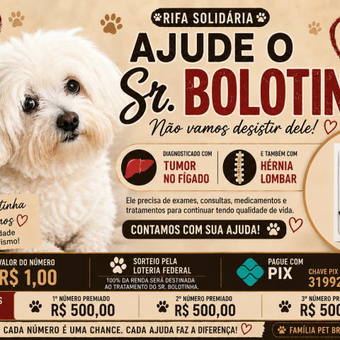 Ajude o Sr Bolotinha