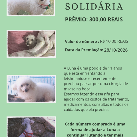 RIFA EM PROL DA LUNA