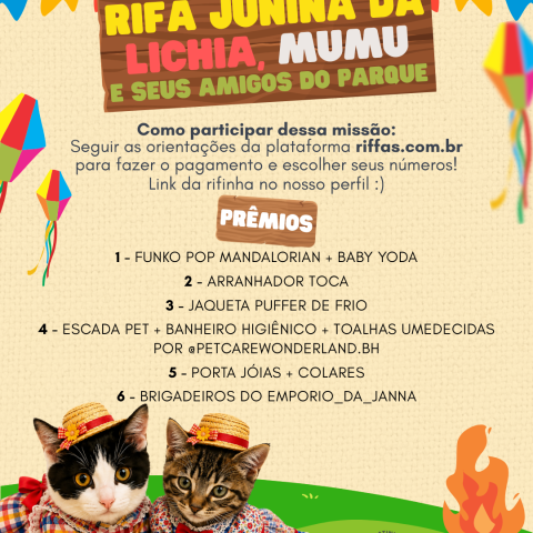 RIFA JUNINA DA LICHIA, MUMU E SEUS AMIGOS DO PARQUE